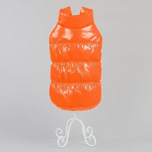 Charger l'image dans la galerie, Dog Clothes Winter French Bulldog Dog Clothes For Small Dog Cotton Padded Warm Outfit  Coat Jacket  for Chihuahua pet clothes